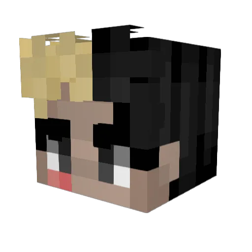 H00DP0PE Minecraft avatar head, 3D render