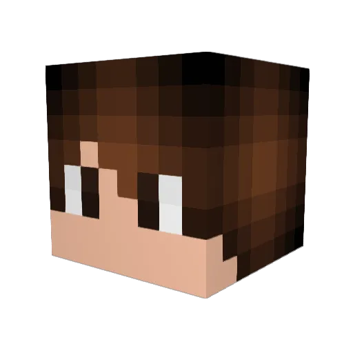 H0BoJ0 Minecraft avatar head, 3D render