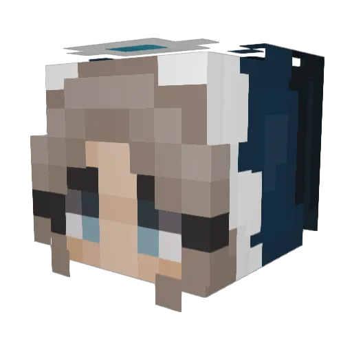 H0GST0MP3R1999 Minecraft avatar head, 3D render
