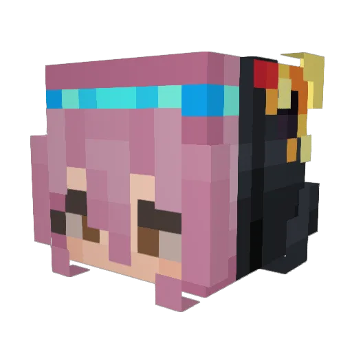H0LL0WEDN00DLES Minecraft avatar head, 3D render