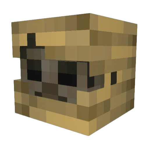 H0LL1 Minecraft avatar head, 3D render