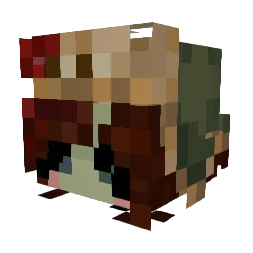 H0LuMe5 Minecraft avatar head, 3D render
