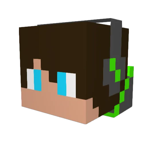 H0ODEDCROW Minecraft avatar head, 3D render