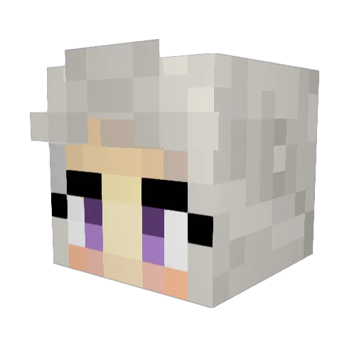 H0RSEFIGHTER Minecraft avatar head, 3D render