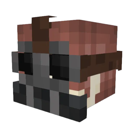 H0T_n_Sp1cy Minecraft avatar head, 3D render