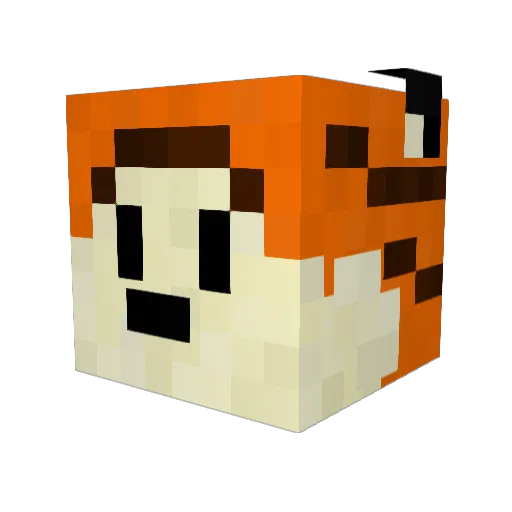 H0bbs_ Minecraft avatar head, 3D render