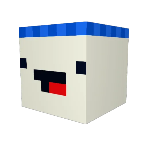 H0bbyL0bby Minecraft avatar head, 3D render