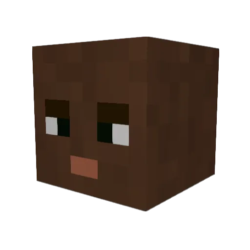 H0lliZz Minecraft avatar head, 3D render