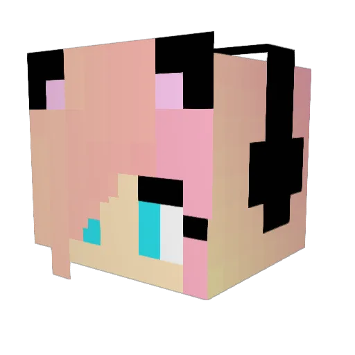 H0llyb0t Minecraft avatar head, 3D render