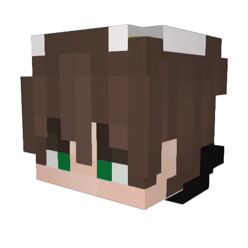 H0oD1E_ Minecraft avatar head, 3D render