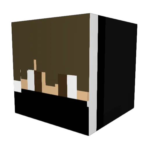 H0pp0s Minecraft avatar head, 3D render
