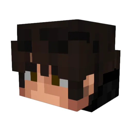 H0wky_ Minecraft avatar head, 3D render