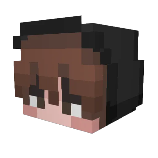 H10D1 Minecraft avatar head, 3D render