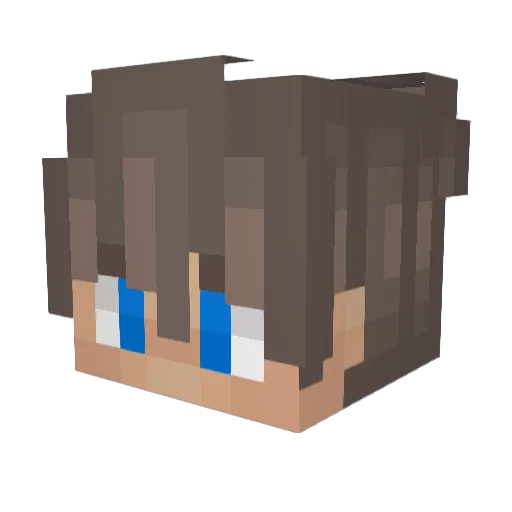 H1GH_F1V3 Minecraft avatar head, 3D render