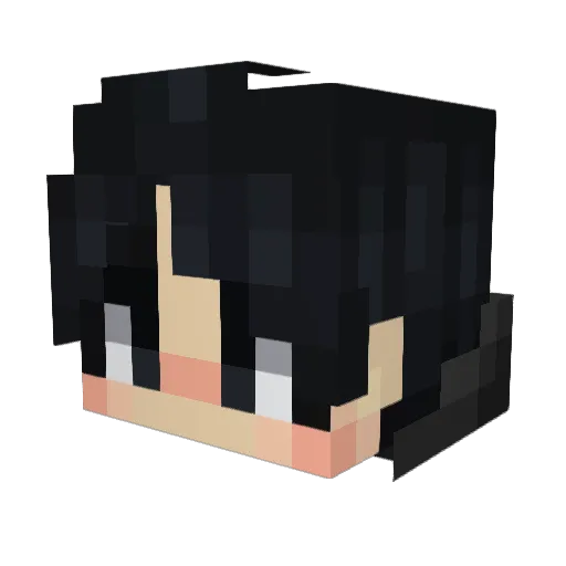 H1g0 Minecraft avatar head, 3D render