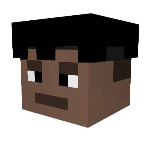 H2005W Minecraft avatar head, 3D render