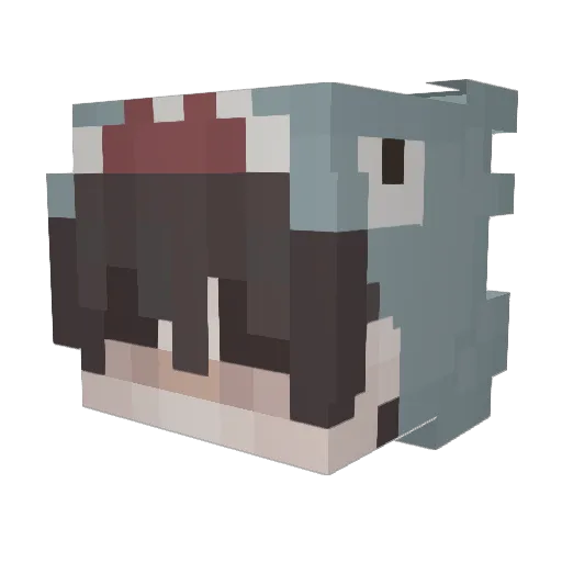 H20____ Minecraft avatar head, 3D render