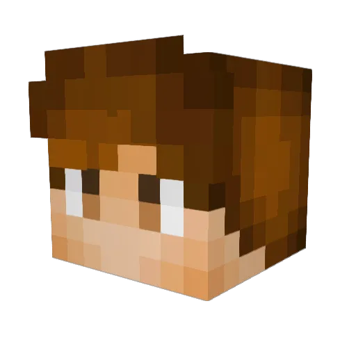 H29id Minecraft avatar head, 3D render