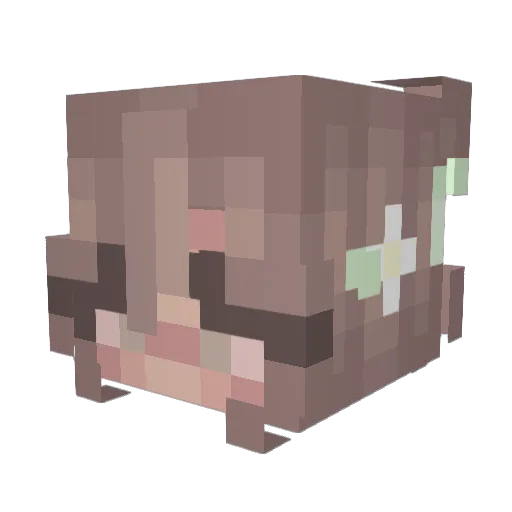 H2OExplorer Minecraft avatar head, 3D render