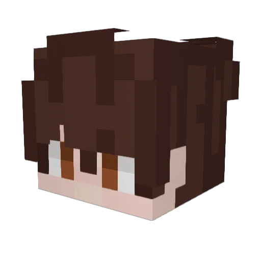 H2OLover Minecraft avatar head, 3D render