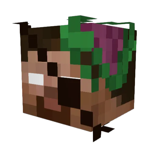 H2OPineapple Minecraft avatar head, 3D render