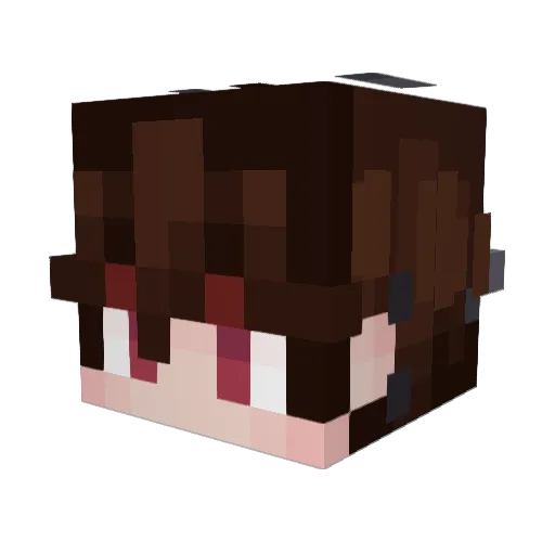 H3NRYD4NG3R Minecraft avatar head, 3D render