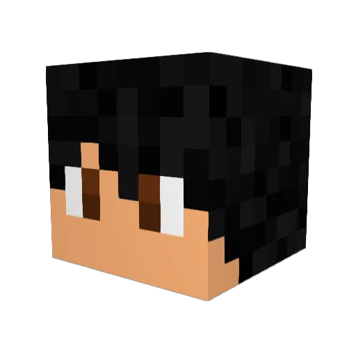 H3gs7 Minecraft avatar head, 3D render