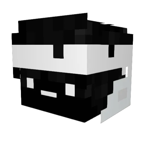 H3nry999 Minecraft avatar head, 3D render