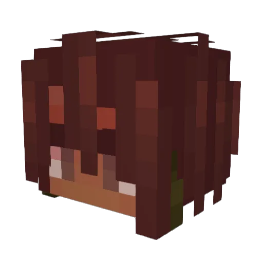 H3nry_Gnil Minecraft avatar head, 3D render