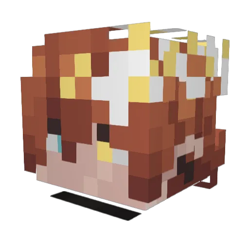 H3nt41Conoisseur Minecraft avatar head, 3D render