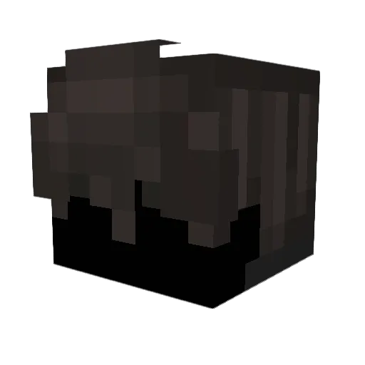Minecraft-Avatar von H3rb0r: Kopf als 3D-Render
