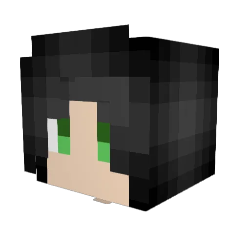 H3xxKidd Minecraft avatar head, 3D render