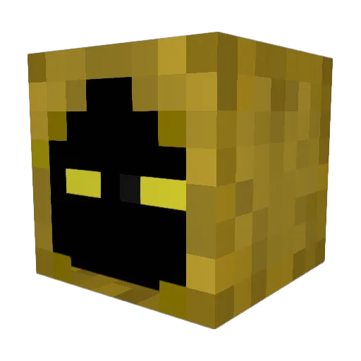 H4CK3RQIN Minecraft avatar head, 3D render