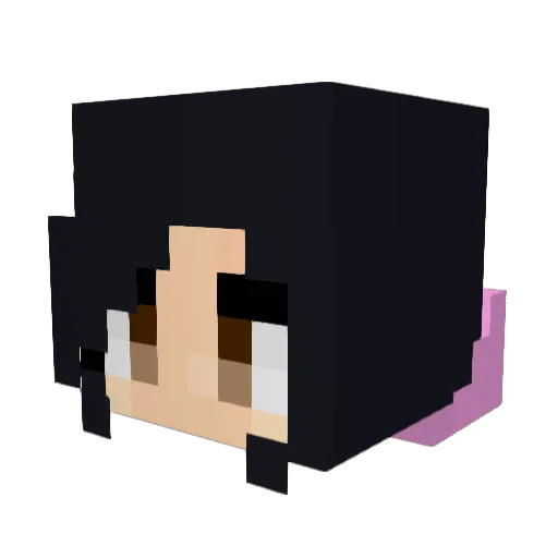 H4LO_328 Minecraft avatar head, 3D render