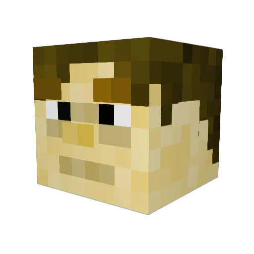 H4NKYISH3R3 Minecraft avatar head, 3D render