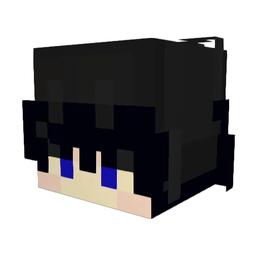 H4RS1 Minecraft avatar head, 3D render