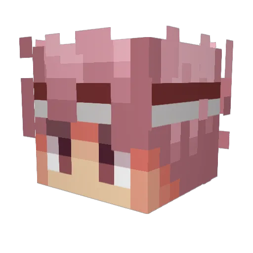 H4Y Minecraft avatar head, 3D render