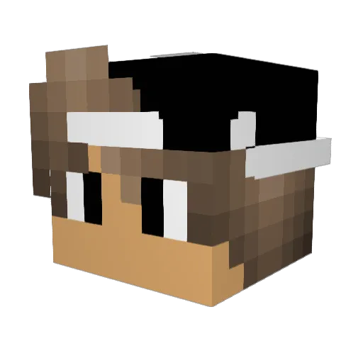 H4cK3dPiX3l23 Minecraft avatar head, 3D render