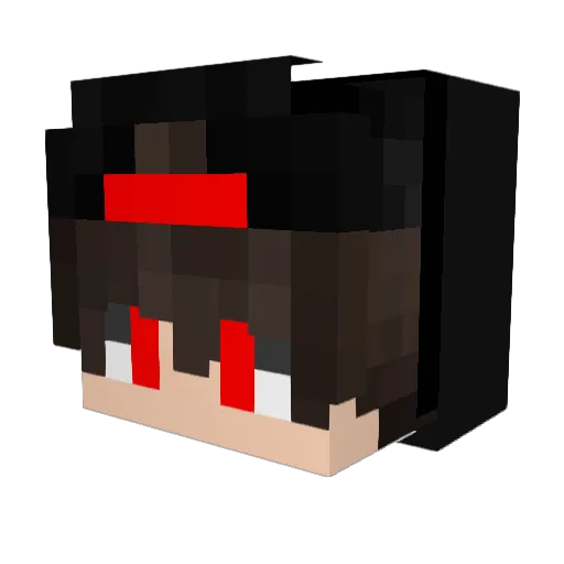 H4ckerNudel2 Minecraft avatar head, 3D render