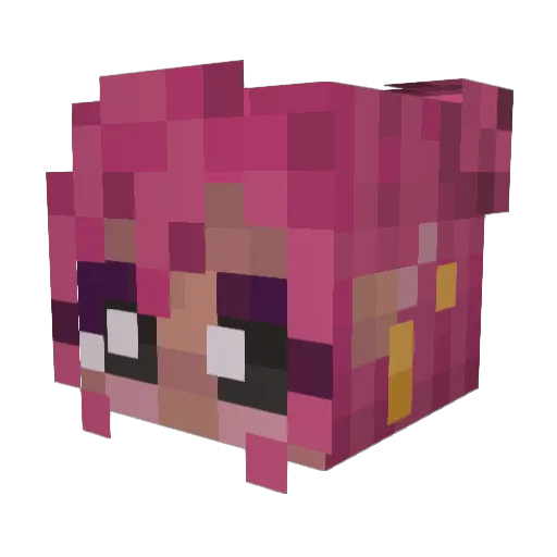 H4ilYe4h Minecraft avatar head, 3D render