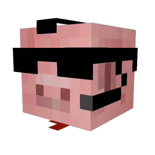 H4lalP0rk Minecraft avatar head, 3D render