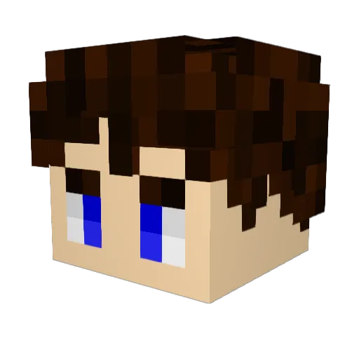 H4rdcore00 Minecraft avatar head, 3D render
