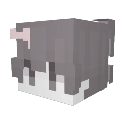 H4rryyy Minecraft avatar head, 3D render