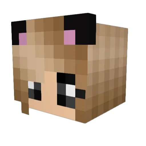 H4x_ Minecraft avatar head, 3D render