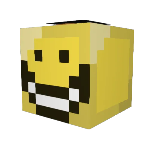 H4yz01 Minecraft avatar head, 3D render