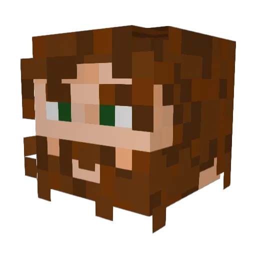 H6LL6X6 Minecraft avatar head, 3D render