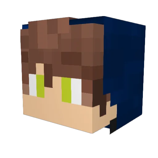 H6S9 Minecraft avatar head, 3D render