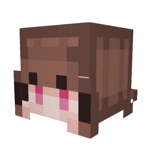 H7meyra Minecraft avatar head, 3D render