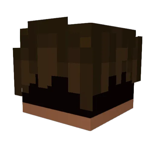 H8Z9 Minecraft avatar head, 3D render