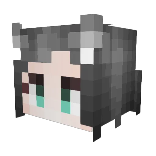 H8al_me Minecraft avatar head, 3D render